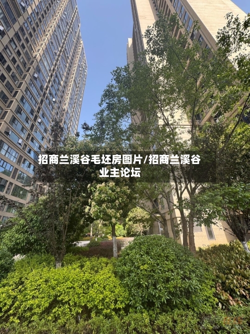 招商兰溪谷毛坯房图片/招商兰溪谷业主论坛-第2张图片