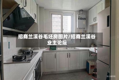 招商兰溪谷毛坯房图片/招商兰溪谷业主论坛