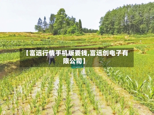 【富远行情手机版要钱,富远创电子有限公司】-第2张图片