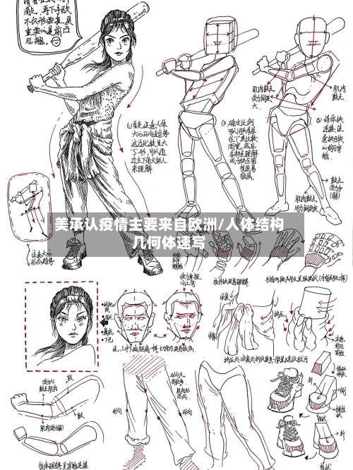 美承认疫情主要来自欧洲/人体结构几何体速写