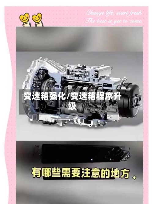 变速箱强化/变速箱程序升级