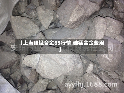 【上海硅锰合金65行情,硅锰合金费用】-第2张图片