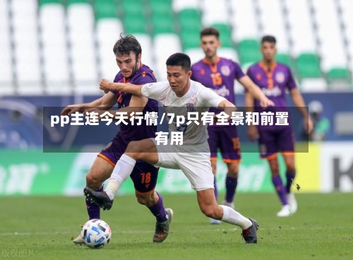 pp主连今天行情/7p只有全景和前置有用-第2张图片