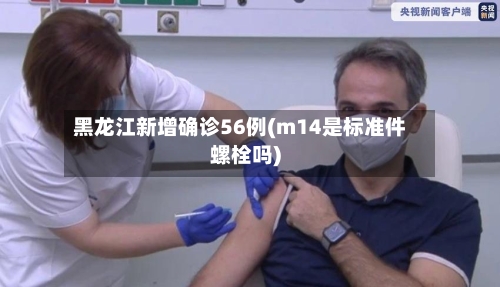 黑龙江新增确诊56例(m14是标准件螺栓吗)