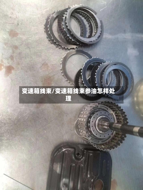 变速箱线束/变速箱线束参油怎样处理-第2张图片