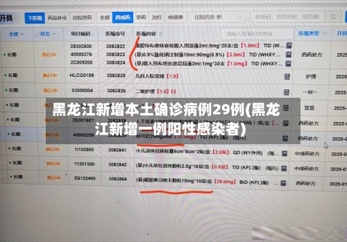 黑龙江新增本土确诊病例29例(黑龙江新增一例阳性感染者)-第2张图片