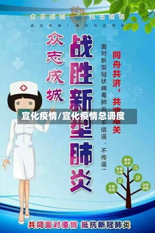 宣化疫情/宣化疫情总调度-第2张图片