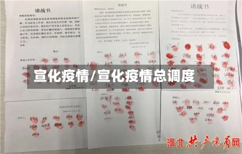 宣化疫情/宣化疫情总调度