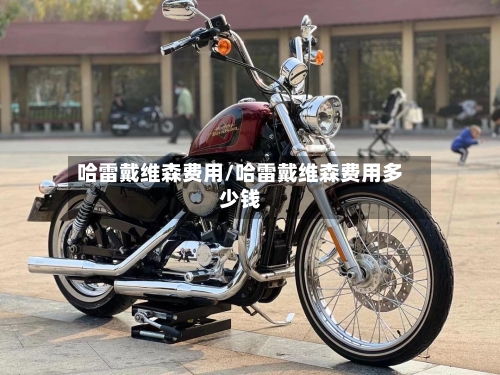 哈雷戴维森费用/哈雷戴维森费用多少钱-第2张图片