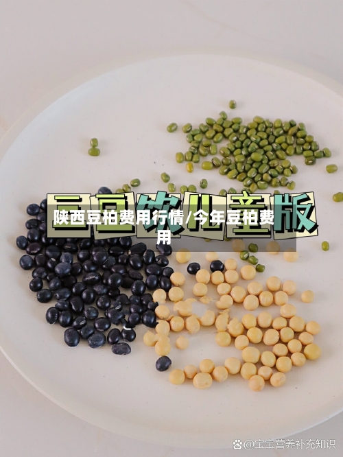 陕西豆柏费用行情/今年豆柏费用-第2张图片