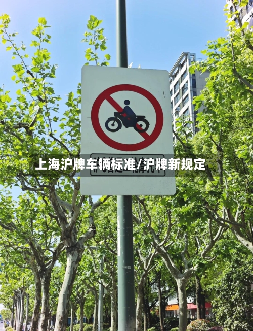 上海沪牌车辆标准/沪牌新规定-第3张图片