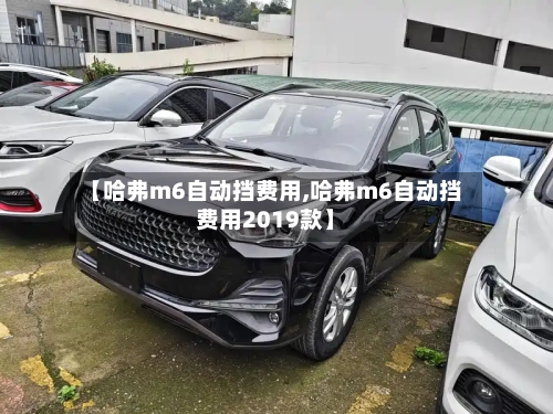 【哈弗m6自动挡费用,哈弗m6自动挡费用2019款】-第2张图片
