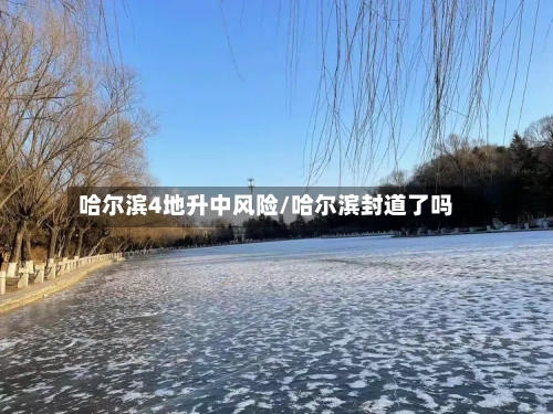 哈尔滨4地升中风险/哈尔滨封道了吗-第3张图片