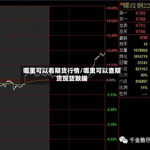 哪里可以看期货行情/哪里可以查期货现货数据