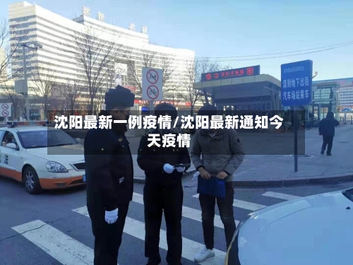 沈阳最新一例疫情/沈阳最新通知今天疫情-第2张图片