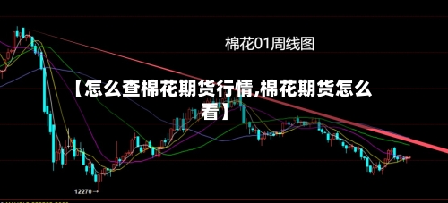 【怎么查棉花期货行情,棉花期货怎么看】-第2张图片